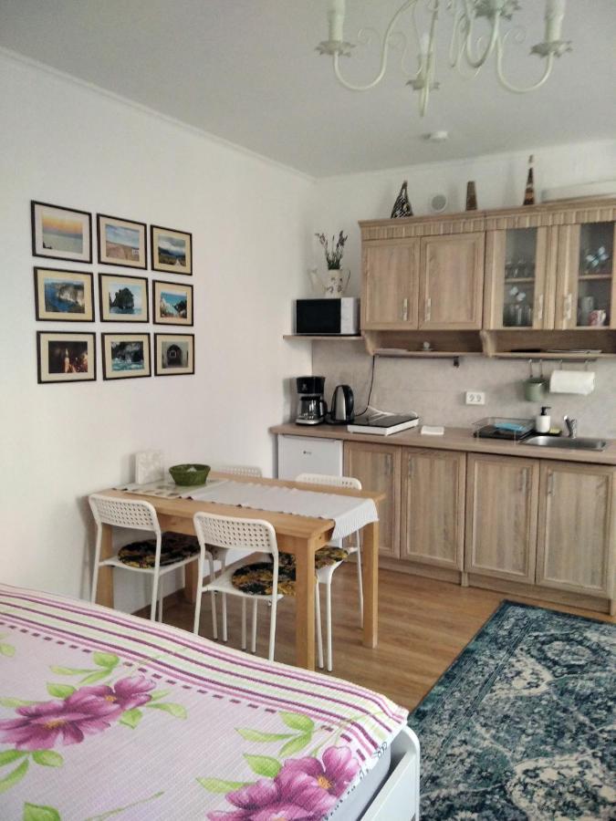 Apartmán Eco-lux With Free Bicycles End Free Parking Lublaň