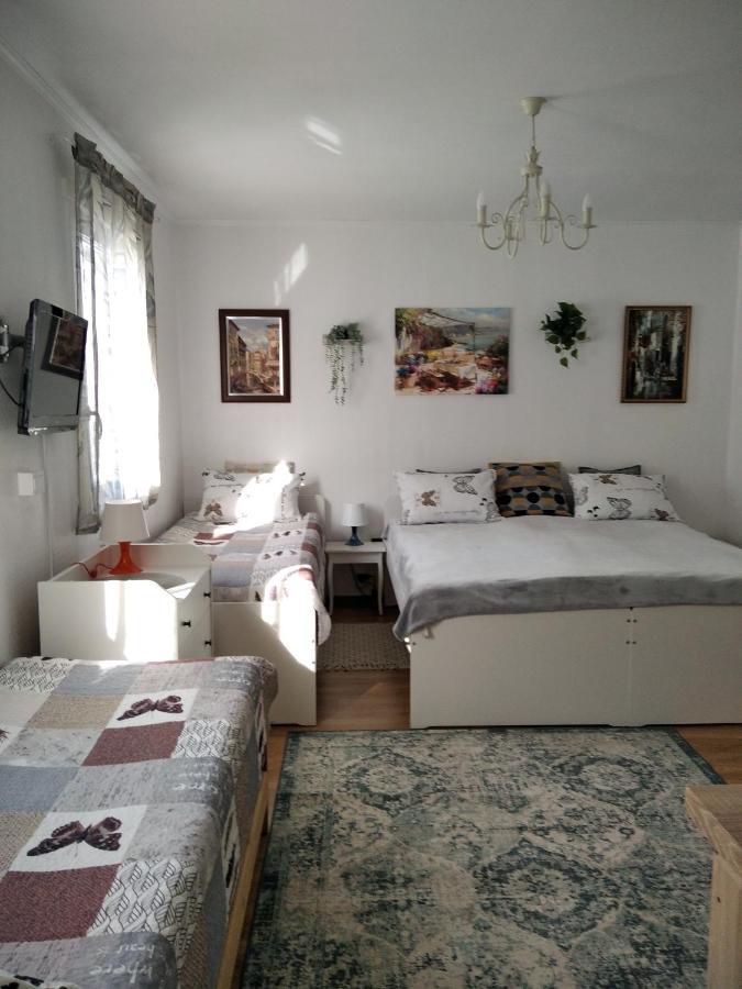 Eco-lux With Free Bicycles End Free Parking Apartmán